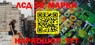 стафф Тара