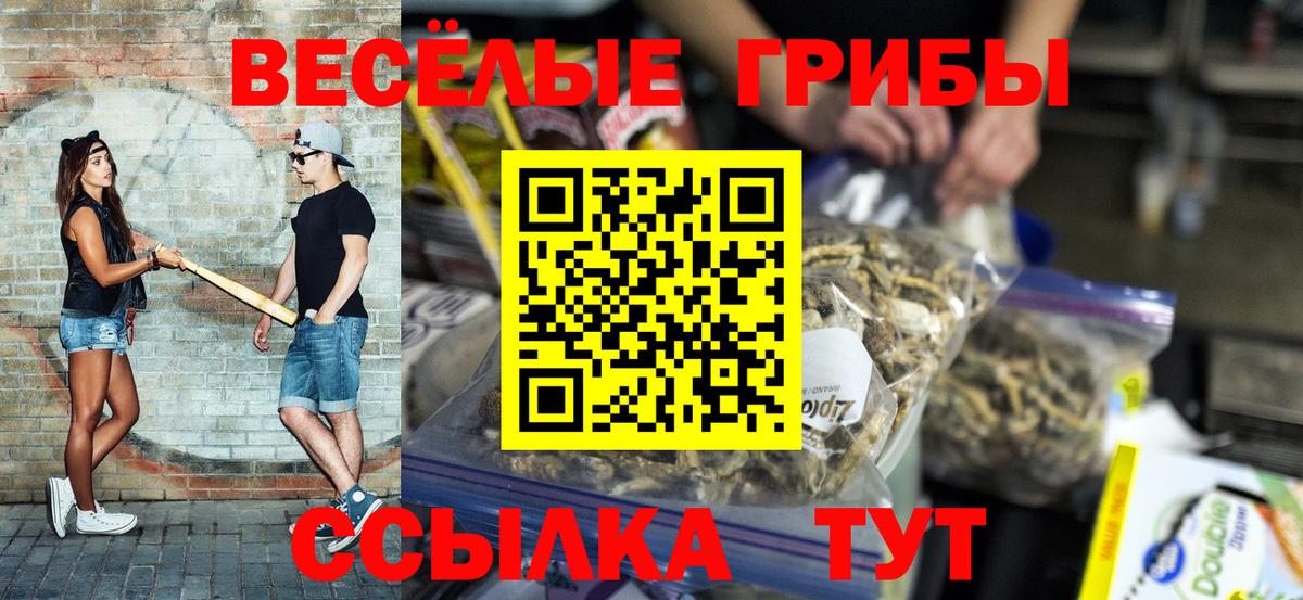 Ангарск  Псилоцибиновые грибы GOLDEN TEACHER  Псилоцибиновые грибы ЛСД  Вход с VPN 